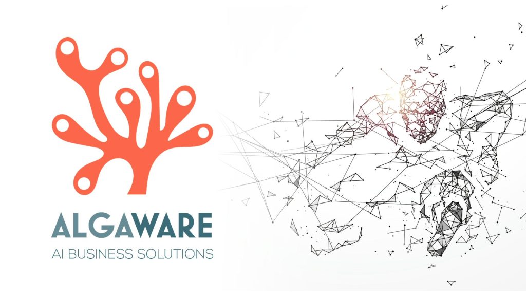 Algaware: strategia, logo, contenuti, nuovo sito, SEO