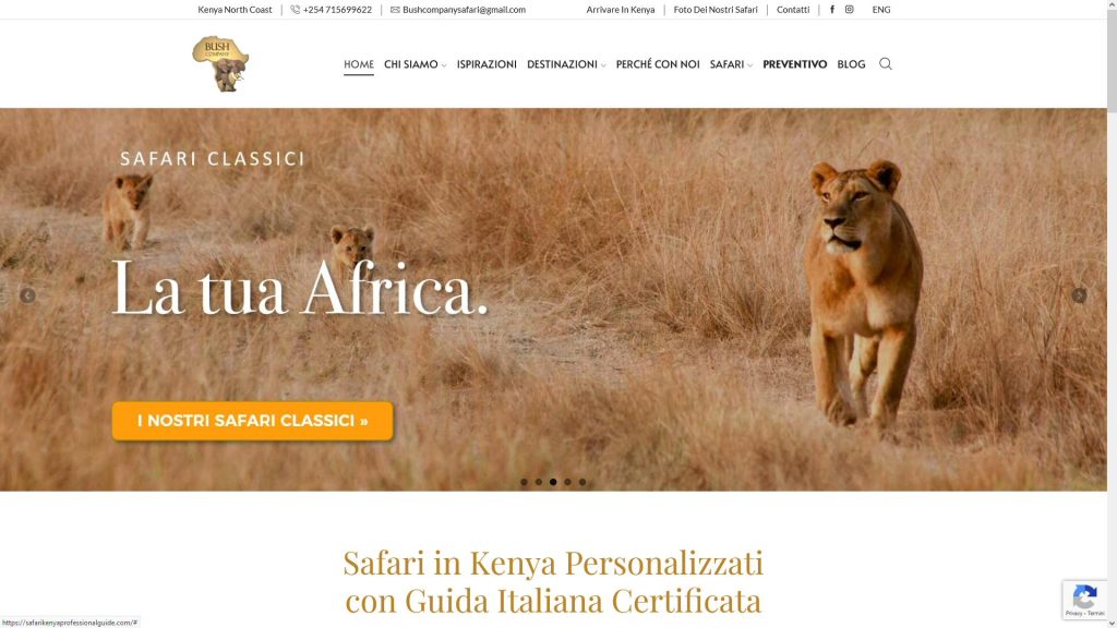 Strategia, grafica, contenuti, sito, SEO per agenzia safari