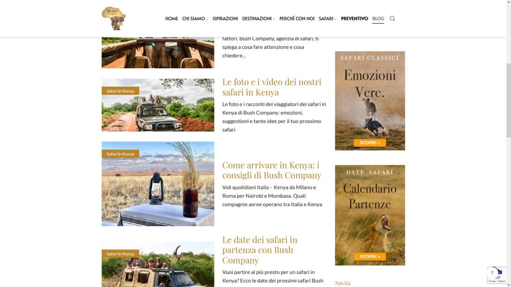 Strategia, grafica, contenuti, sito, SEO per agenzia safari